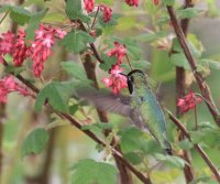IMG_0005.jpg