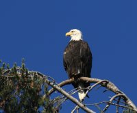 IMG_0001.jpg
