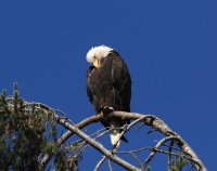 IMG_0001_1.jpg