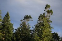 IMG_0001.jpg