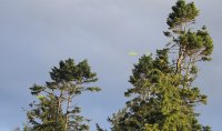 IMG_0002.jpg
