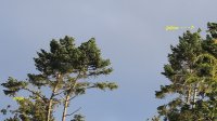 IMG_0003.jpg