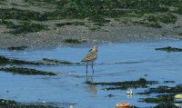 IMG_0016.jpg