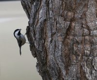 IMG_0005.jpg