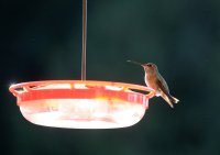 IMG_0001.jpg