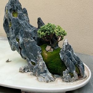 Rock Penjing, Recalling the Scenery South of the Yangtze River