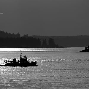Tug Sunset in Black and White
