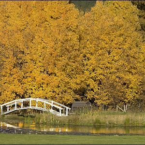 Fall Colors and Bridge