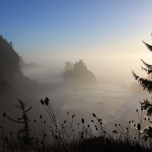 Arch Rock Or State Park South Coast