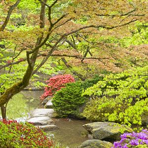 Spring at the Japanese Garden