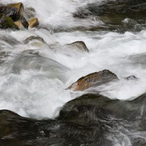rapid-river-idaho
