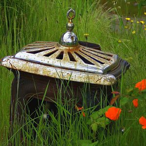 poppies and old stove