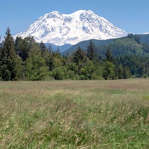 Mt Rainier from Mineral