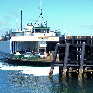 The Rhodendron Docking at Pt Defiance