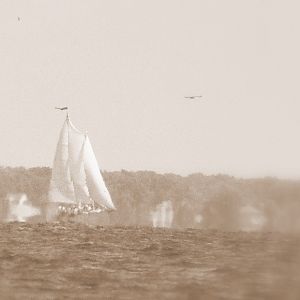 Sailing the Chesapeake