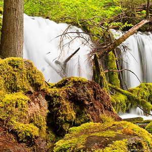 Pearsonney Falls, Oregon