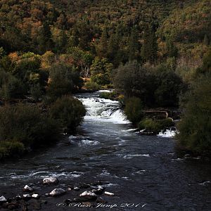 Rogue River IV