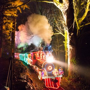 WP&Z Railway Zoo Lights Train