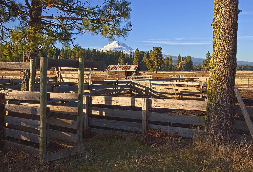 A working ranch near Trout Lake, Washington