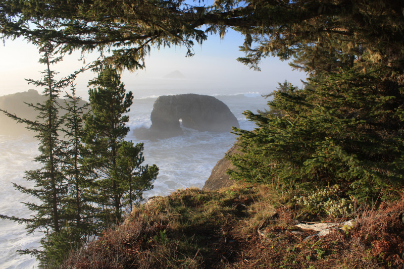 Arch Rock Or State Park South Coast