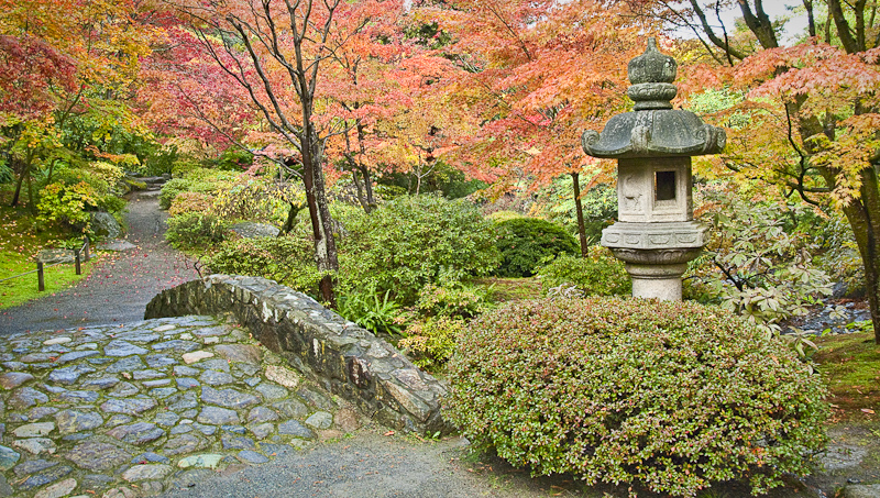 Fall at the Japanese Garden