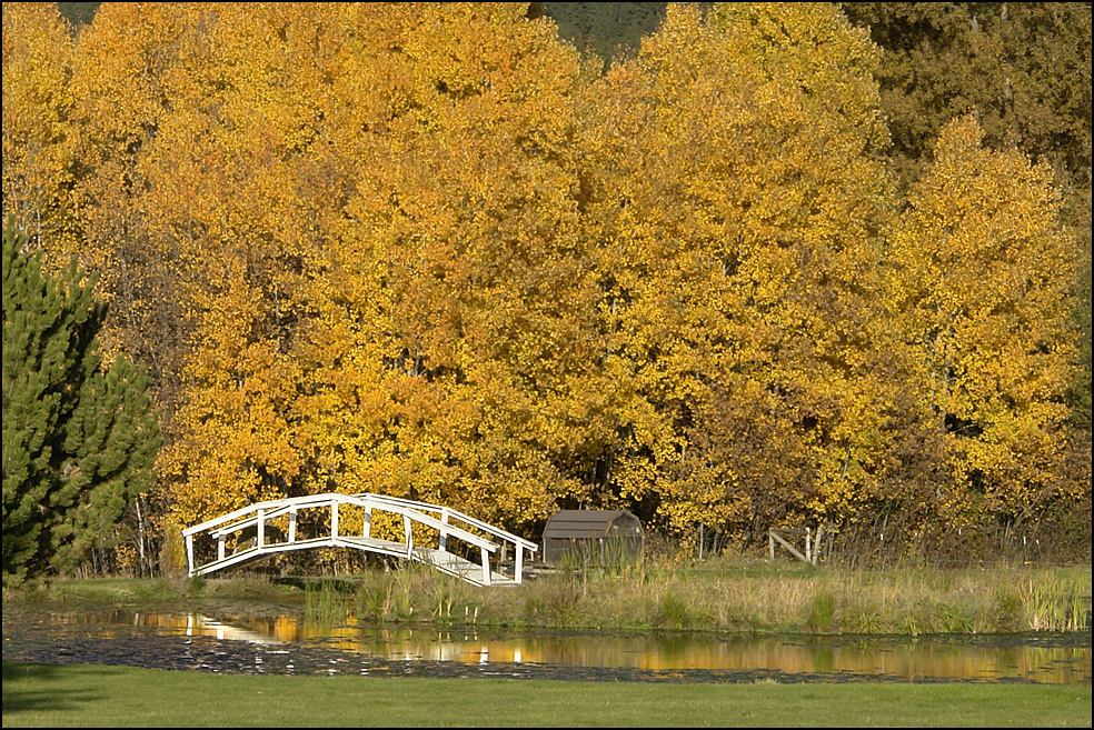 Fall Colors and Bridge