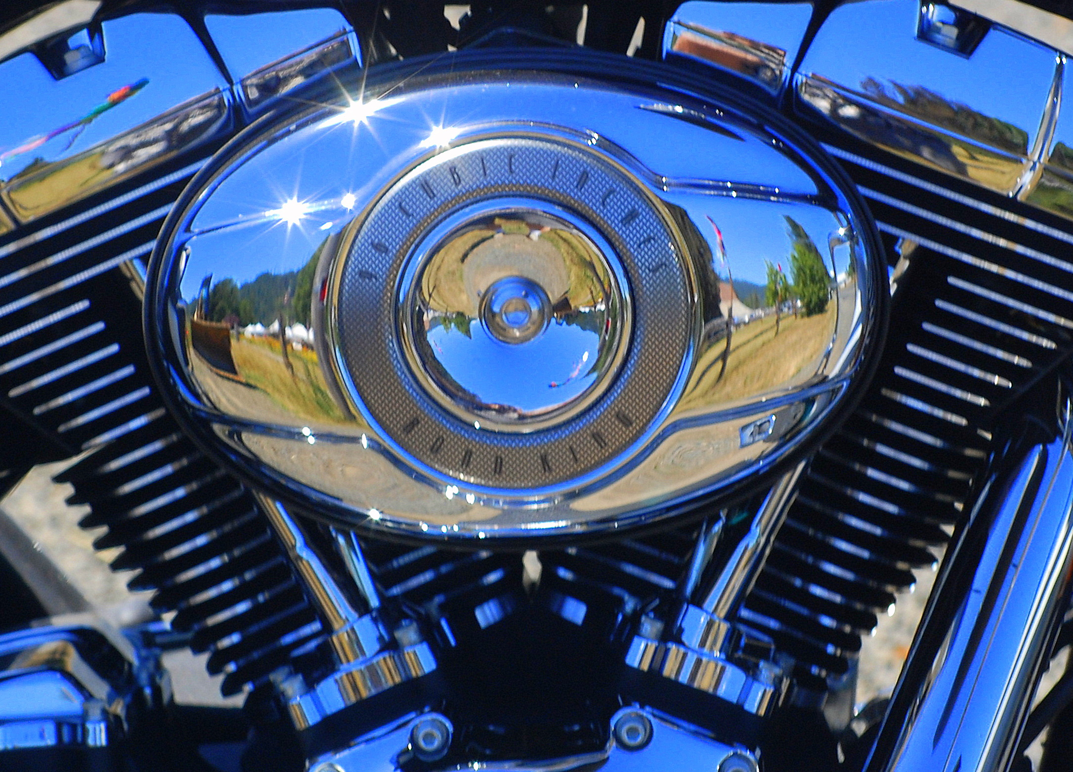 Harley Reflections
