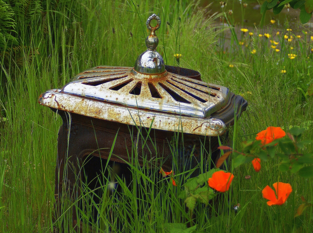poppies and old stove