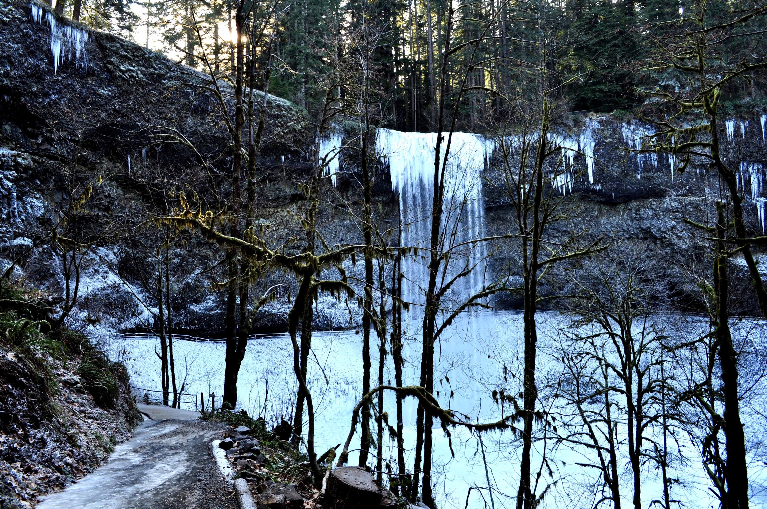 Silver Creek Falls In Winter