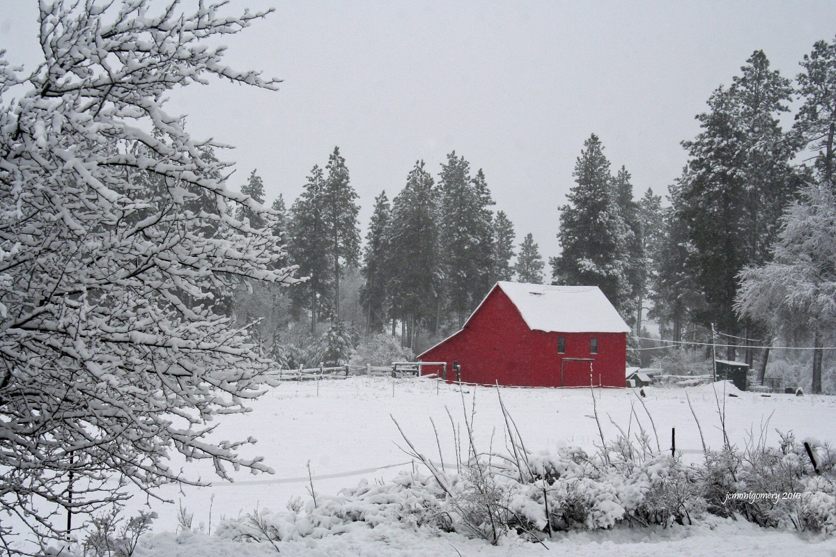 Snow Barn