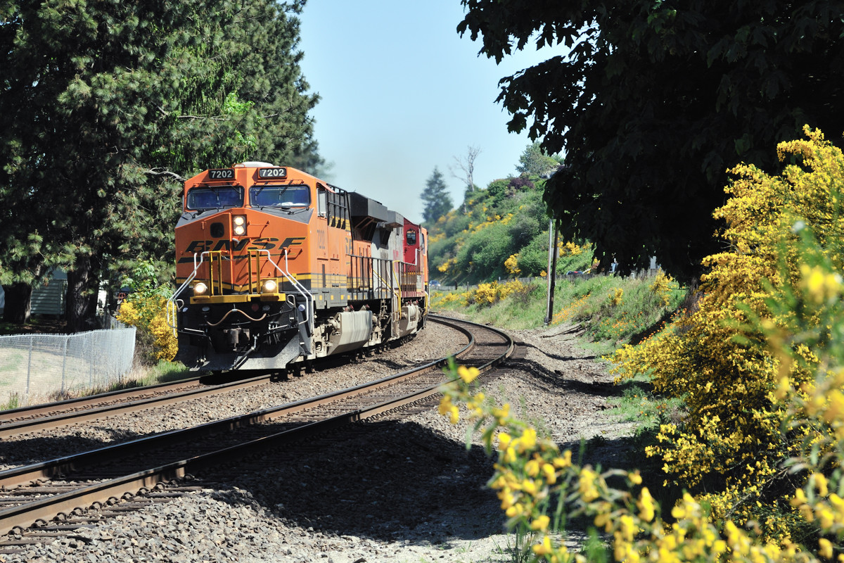 Southbound at Steilacoom