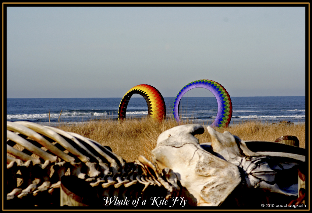Whale of a Kite Fly