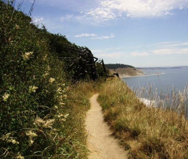 Whidbey Trail