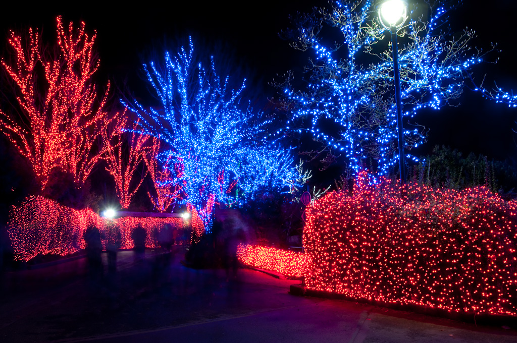 Zoolights 2009 at the Oregon Zoo