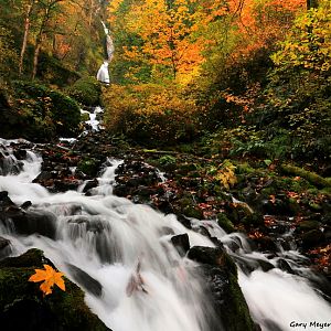 Fall at Wahkeena Creek Falls